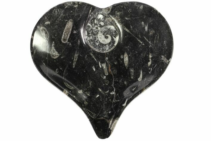Heart Shaped Fossil Goniatite Dish #77680